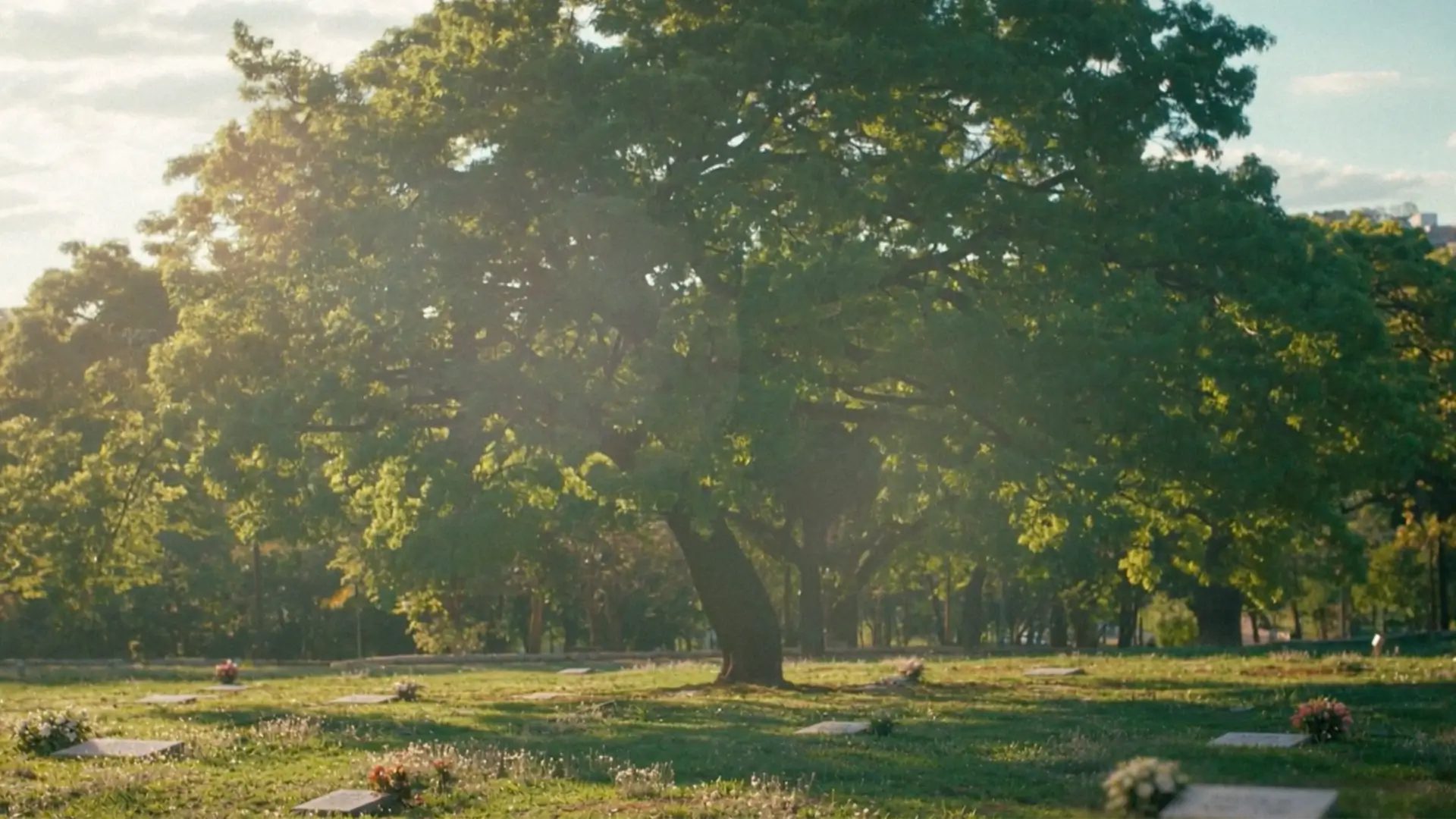 Área verde do Cemitério de Mulheres